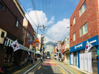 서대신3동 자유총연맹, 나라사랑 태극기 거리 조성