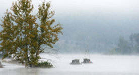 경남 거창군 남하면 대야리 합천호 물안개가 그린 그림