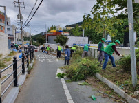 대남초등학교 통학로 꽃밭 가꾸기 환경정비