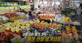 ‘6시 내고향’ 전국우수시장박람회· 울산 신정상가시장 소개