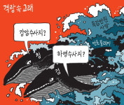 [서상균 그림창] 격랑 속 고래
