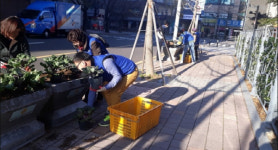 수영구 광안2동 바르게살기운동위원회 가을초화 식재 및 환경정비 활동