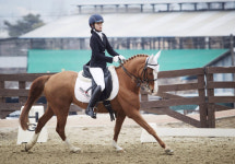 경남승마훈련원,승마단 활성화 위해 유소년승마단 단원 모집 나섰다.