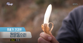 겨울철 호흡기건강에 효능 발휘하는 천문동 인기