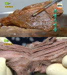 누린내 안 나는 흑염소전골 경기도 광주 ‘수양농장가든’, 휴무일은?