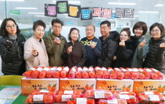 부산 서구 동대신2동 자율방재단, 단감 배달 봉사 실시