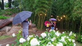 명품마을 혁신을 찾아서 <1> 김해시 대동면 수안마을