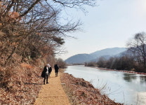 걷고 싶은 길 <85> 합천 정양늪 생명길