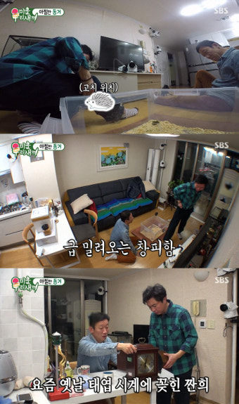 [종합]‘미우새’ 임원희, 고슴도치와 아찔한 동거… 정석용과 짠내나는 일상까지
