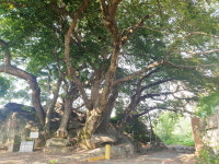 명품마을 혁신을 찾아서 <3> 창원시 동읍 모암1구마을