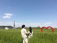 김해 조만강변 청보리밭 명소 탈바꿈