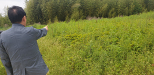 154억 원 들여 조성한 44만㎡ 규모의 와룡지구 친수 생태공간 애물단지로 전락.