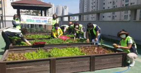 금정구 “건강 한 쌈, 행복 두 쌈” 장전2동 소정이네 달빛농장, 쌈채소 세트 나눔 外