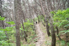 근교산&그너머 <1181> 경남 진주 광제산