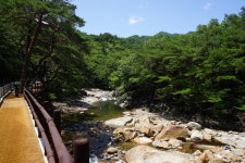 근교산&그너머 <1184> 경남 산청 대원사계곡길