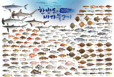 잘 팔리는 우리바다 물고기 163종 한눈에