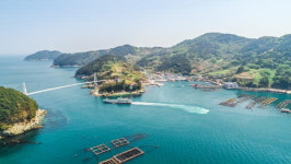 [바캉스 특집-경남 통영시] 케이블카로 한려수도 한눈에…저마다 절경 품은 섬 투어 유혹