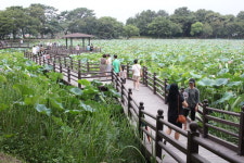 [바캉스 특집-경남 진주시] 선학산 전망대·봉황교 핫 스팟…강주연못엔 500년된 고목 장관