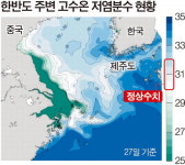 양쯔강 물 서·남해로 대거 유입…제주연안 ‘저염분수’ 비상