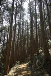 도심 산책 여행 <7> 천마산조각공원·구덕문화공원