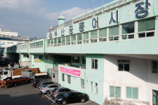 [뭐라노]공동어시장 현대화사업 완전히 물건너가나