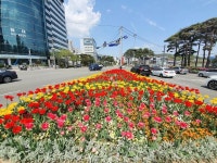 부산 금정구, 온천천에 꽃 6만 본 심었다 外