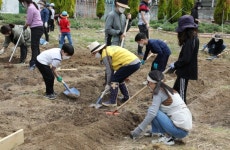 강서구 꿈틀 어린이 텃밭학교 개학식 개최 外