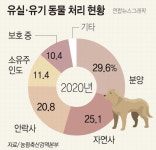 부산서 구조 유기동물 지난해 7477마리인데, 동물보호센터는 5곳뿐