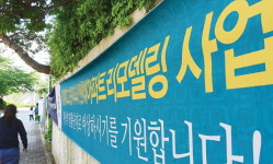 재건축 열기 안 부럽다, 리모델링으로 달아오른 좌동