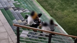 공원 취식 금지에도 술판… 실종된 시민의식