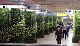 숲으로 변한 도시철도 서면역
