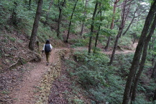 근교산&그너머  경남 양산 동산장성길