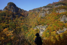 근교산&그너머  경북 봉화 청량산