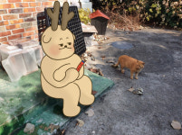 [뭐라노] 길냥이: 우리 함께 살 수 있냐옹?