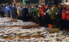 부산공동어시장 올해 첫 경매