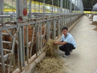 초지 방목·무항생제 사육으로 ‘청정 브랜드’ 키워