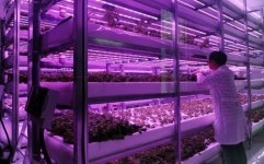 흙·태양 없이 농작물 공장서 재배하는 ‘첨단농장’