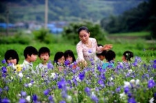 순창서 ‘도라지 사랑꽃축제’