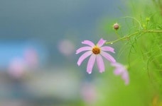 ‘가을’로의 초대