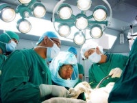 자연속에서 숨쉬는 병원… 치료 넘어 힐링으로