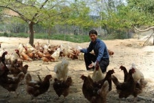 “닭이 행복해야 달걀도 맛있다는게 철학이죠”