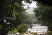 제암산휴양림 시원한 물줄기