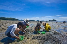 바지락 캐고, 전복따고… 올 여름 추억 만들어요