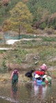 강진 옴천 토하잡이 한창