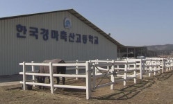 남원 운봉에 경마축산고 개교