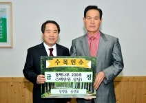 담양군 나무기증 잇따라 송진표씨 동백나무 200주 헌수