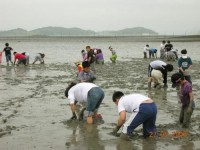 해남 땅끝 ‘여름 힐링여행’ 명소로 뜬다