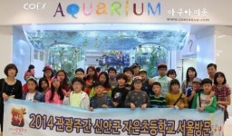 신안 자은초 30명 서울 체험학습