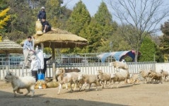 우치동물원 겨울준비 한창