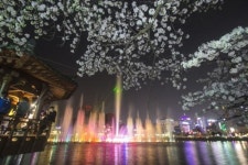 운천저수지의 밤은 낮보다 아름답다